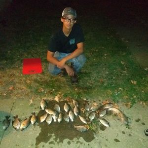 Meet your Posher, Isaiah